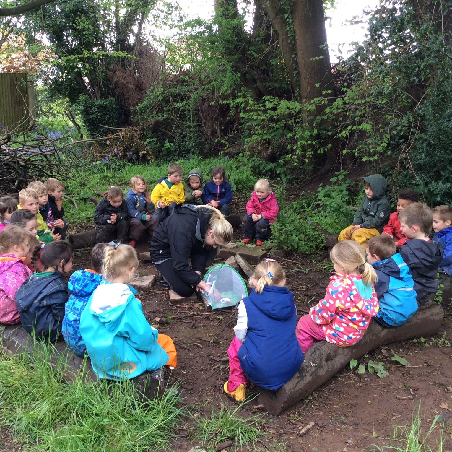 Longvernal Primary School - Our Classes