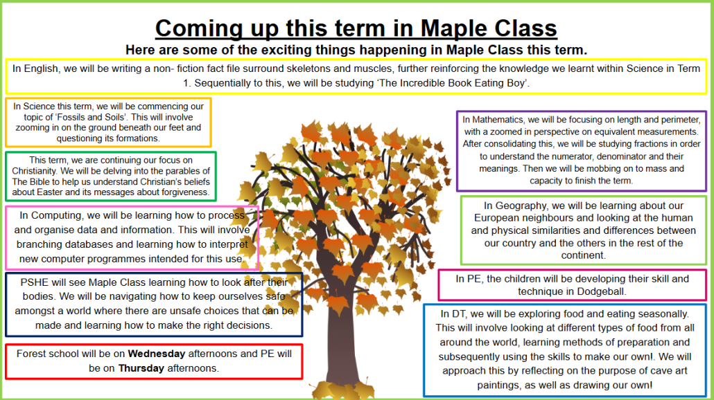 Coming up in term 4